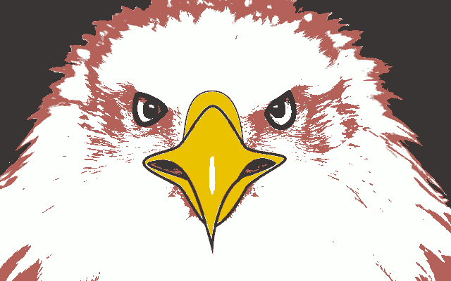 Eagle gaze